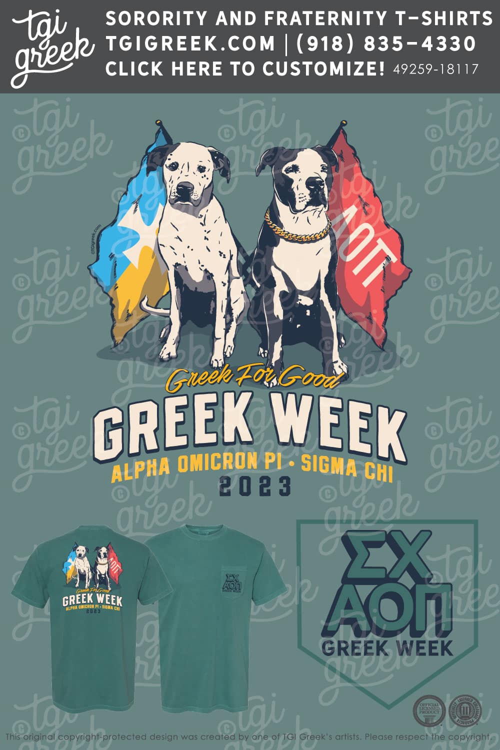 Alpha Omicron Pi – BSC Greek Week