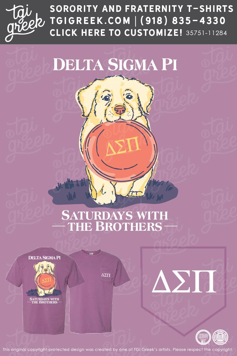 Delta Sigma Pi – UMSL Spring Recruitment
