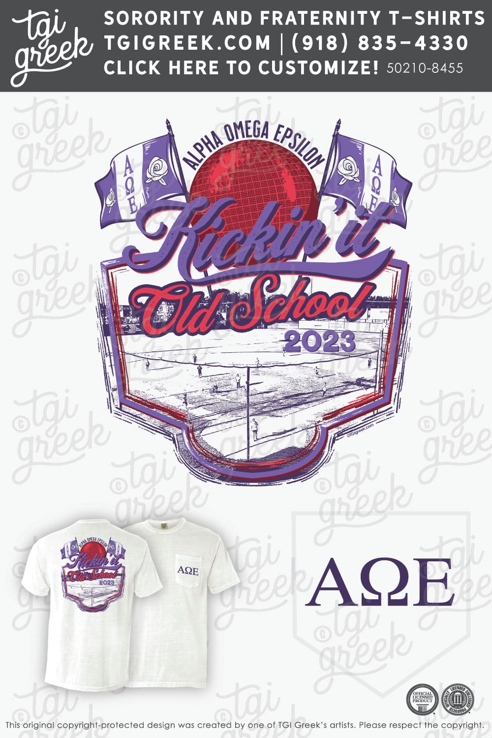 Alpha Omega Epsilon – KSU Philanthropy