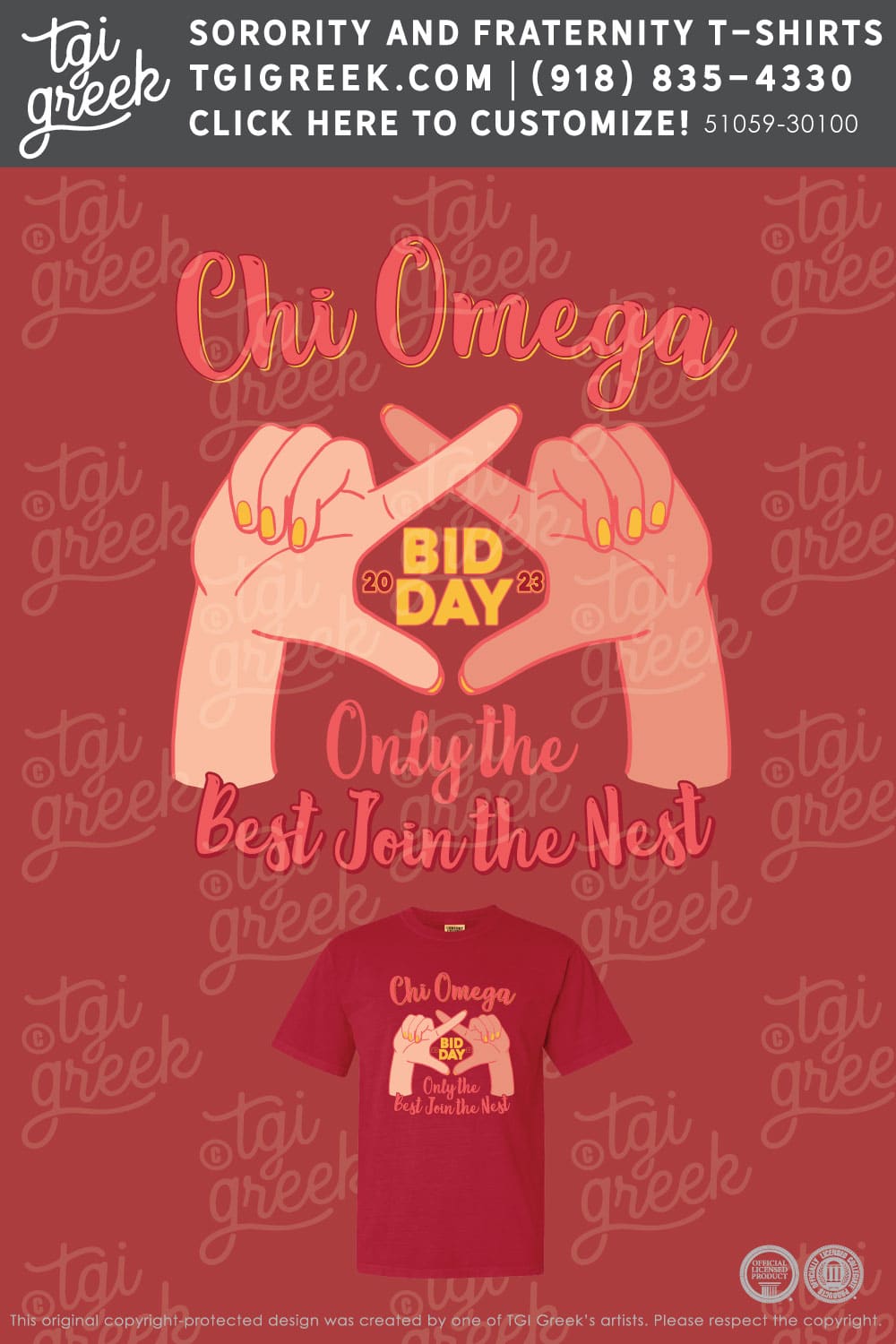 Chi Omega – UNCCH Bid Day