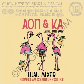 Alpha Omicron Pi-BSC Luau Mixer
