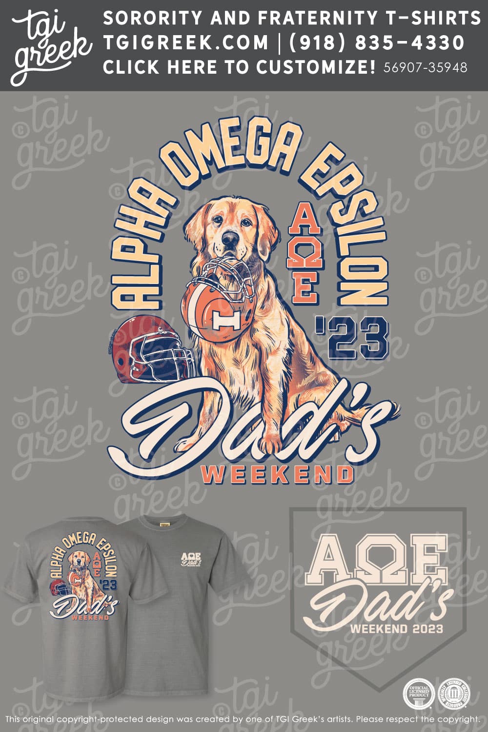 Alpha Omega Epsilon – ILLUC Dads Day