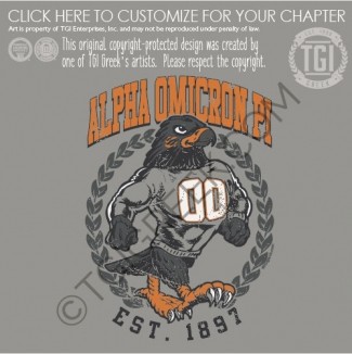 Alpha Omicron Pi – TENNM Skyhawk Sweatshirt