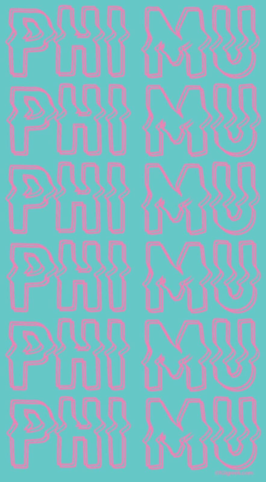 Phi Mu – USAL Work Week