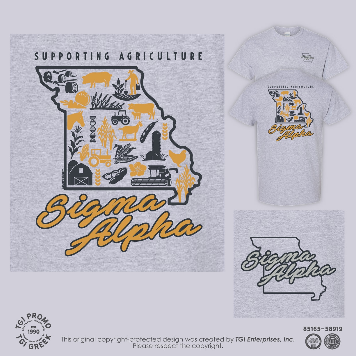 Sigma Alpha – MIZZ Fundraiser