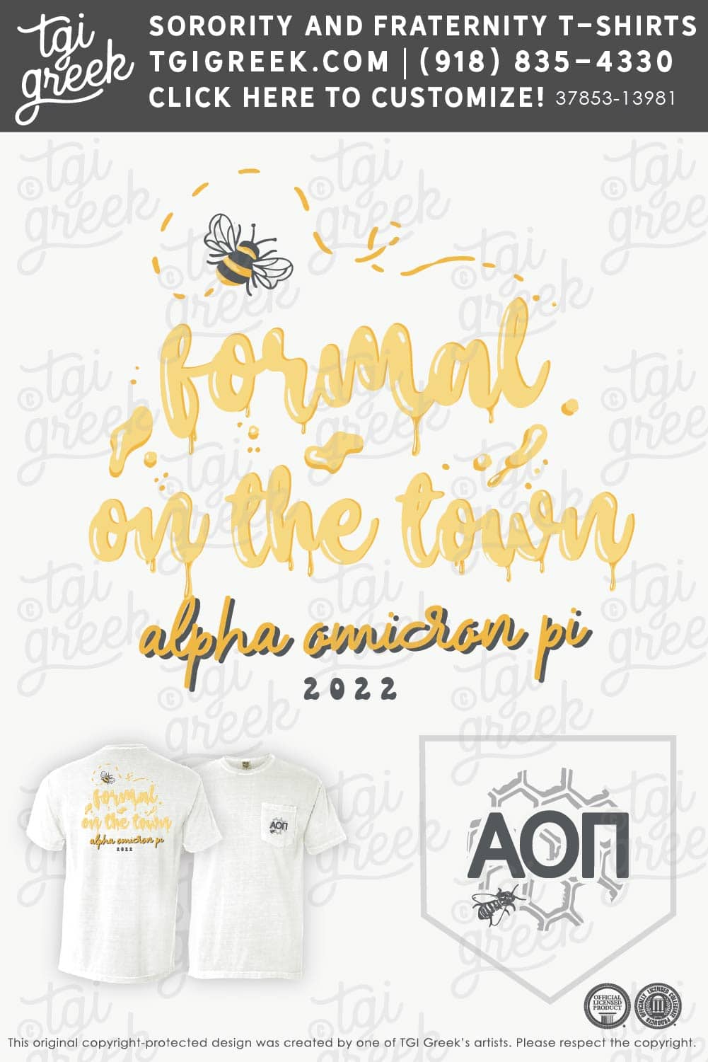 Alpha Omicron Pi – BSC Formal