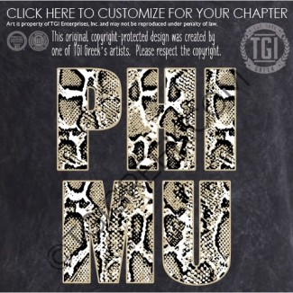 Phi Mu-Recruitment Snake