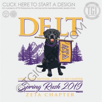 Delta Tau Delta – CWRU Spring Rush