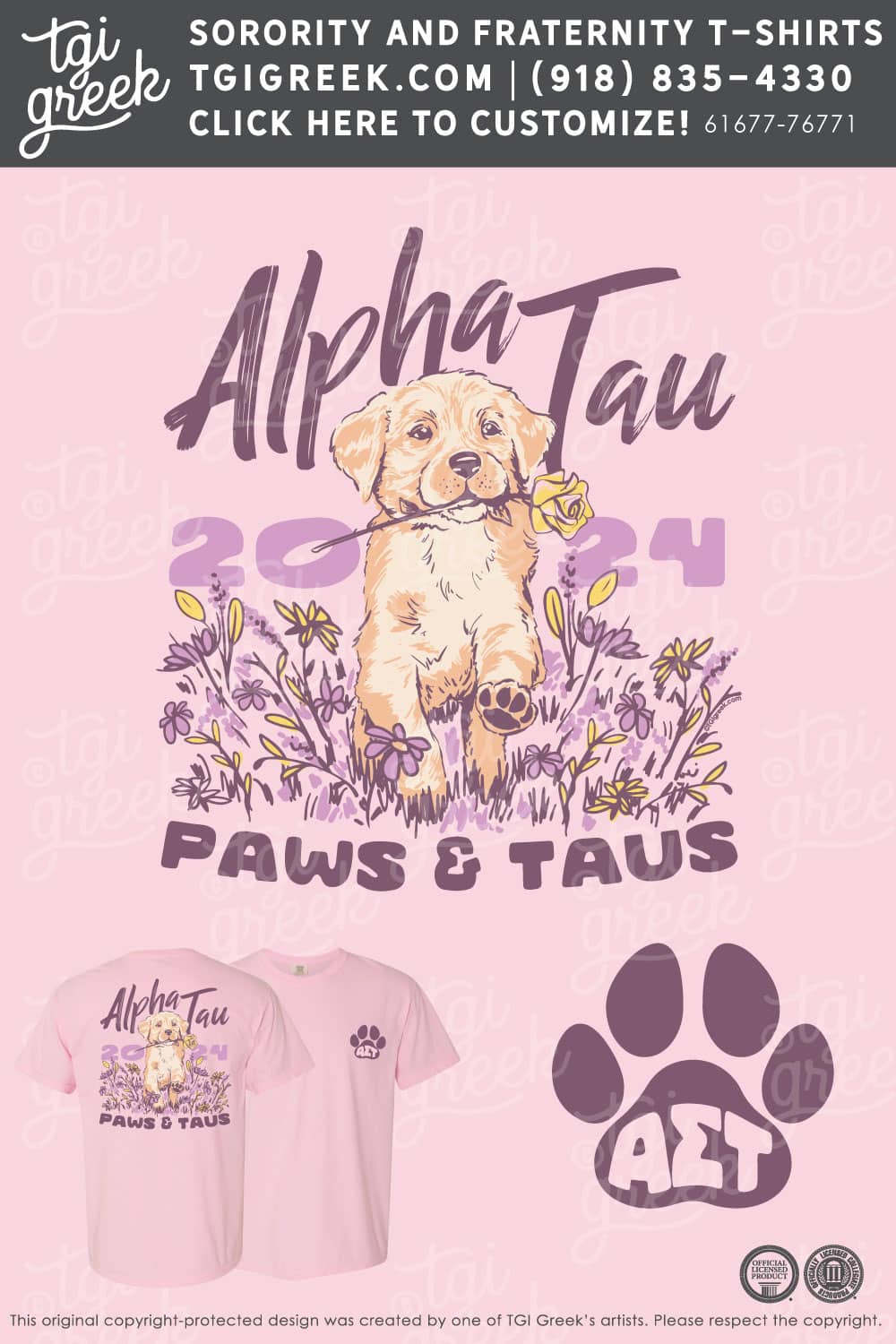 Alpha Sigma Tau – SILU Philanthropy