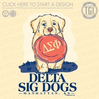 Delta Sigma Phi-KSU Philanthropy