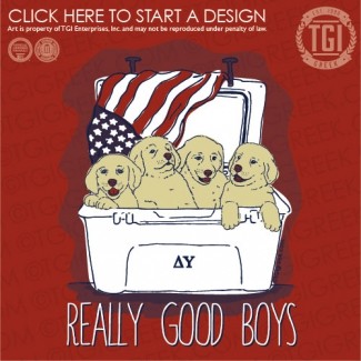 Delta Upsilon-JMU PR Shirt