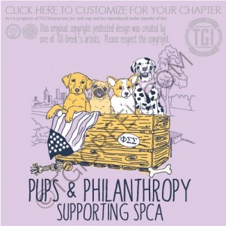 Phi Sigma Sigma-YCP philanthropy