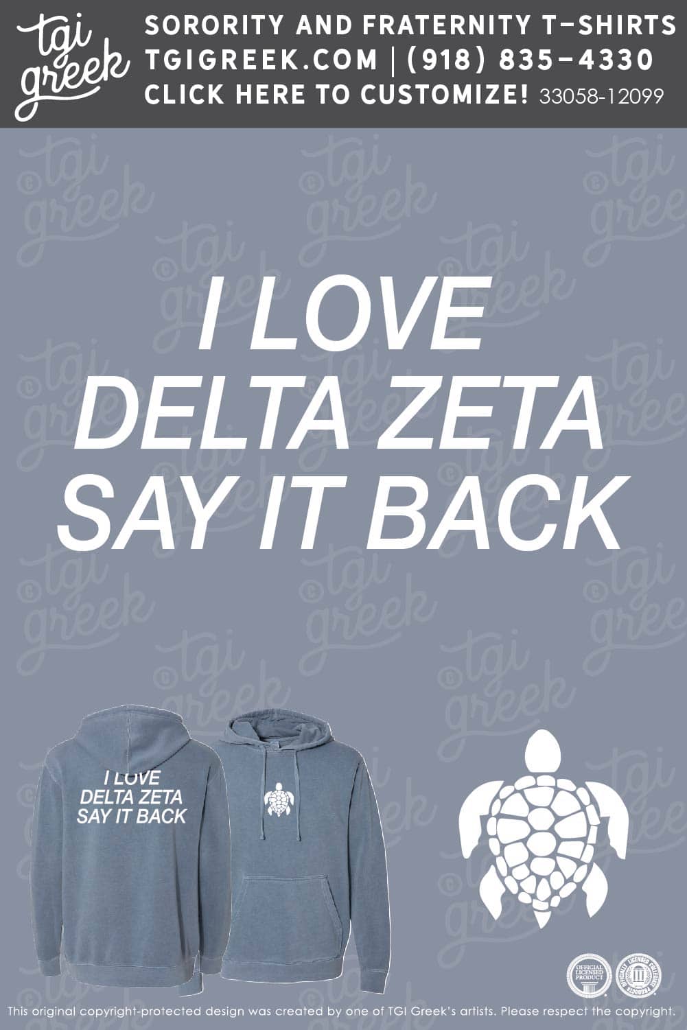 Delta Zeta – UIA Turtle Hoodie