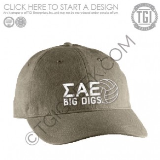 Sigma Alpha Epsilon-PU Big Digs