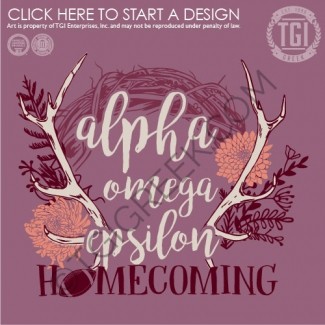 Alpha Omega Epsilon-DU Homecoming