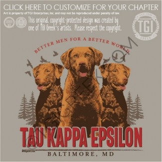 Tau Kappa Epsilon-UMBC Fall Rush