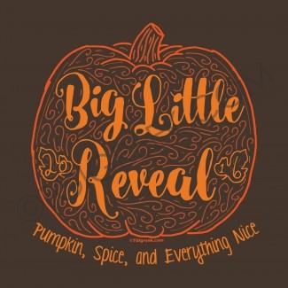 Alpha Xi Delta-UWG Big Little