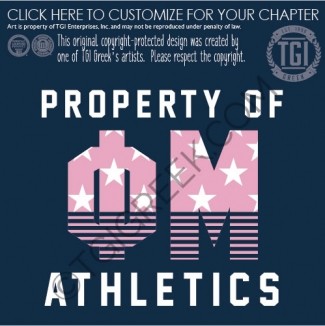 Phi Mu – TSU Intramural