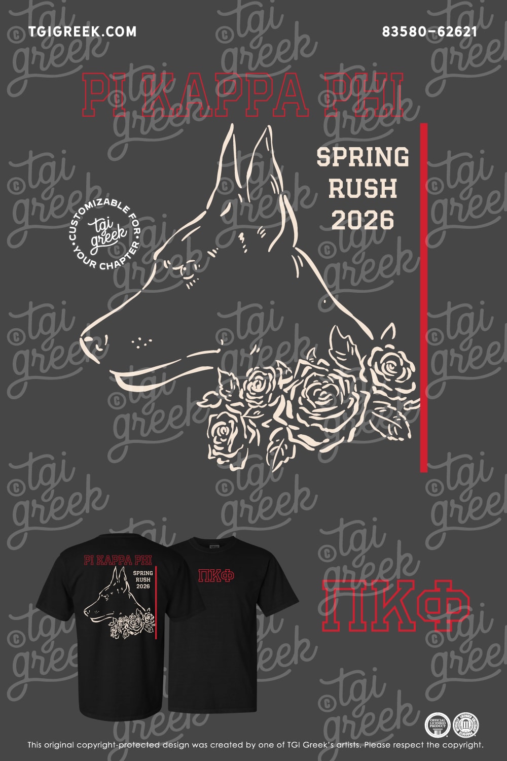Pi Kappa Phi – UTAMP Spring Rush