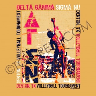 Delta Gamma-UNT Volleyball Function