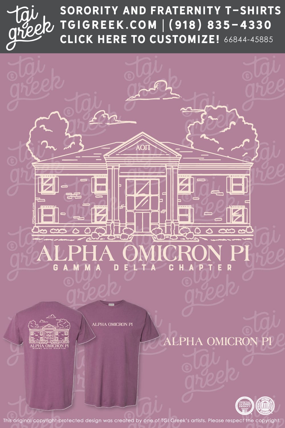Alpha Omicron Pi – USAL House Reopening