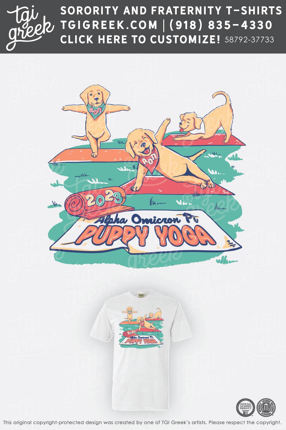 Alpha Omicron Pi – TSU Retreat