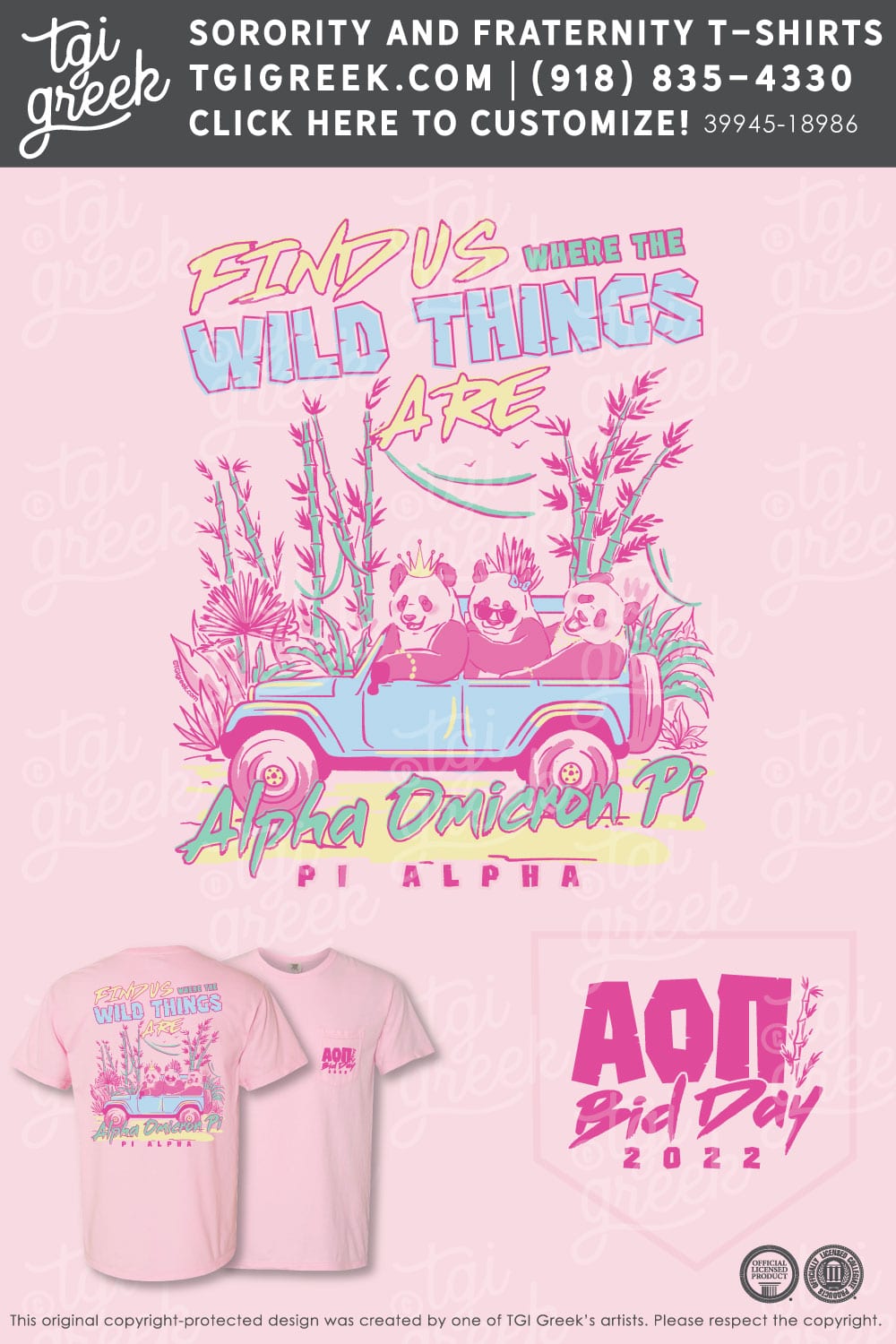 Alpha Omicron Pi – LOUIS Bid Day 2022
