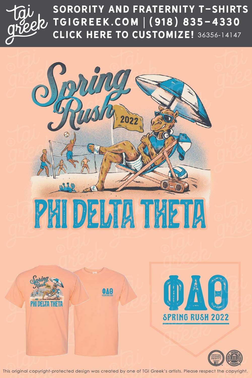 Phi Delta Theta – CAMP Spring Rush