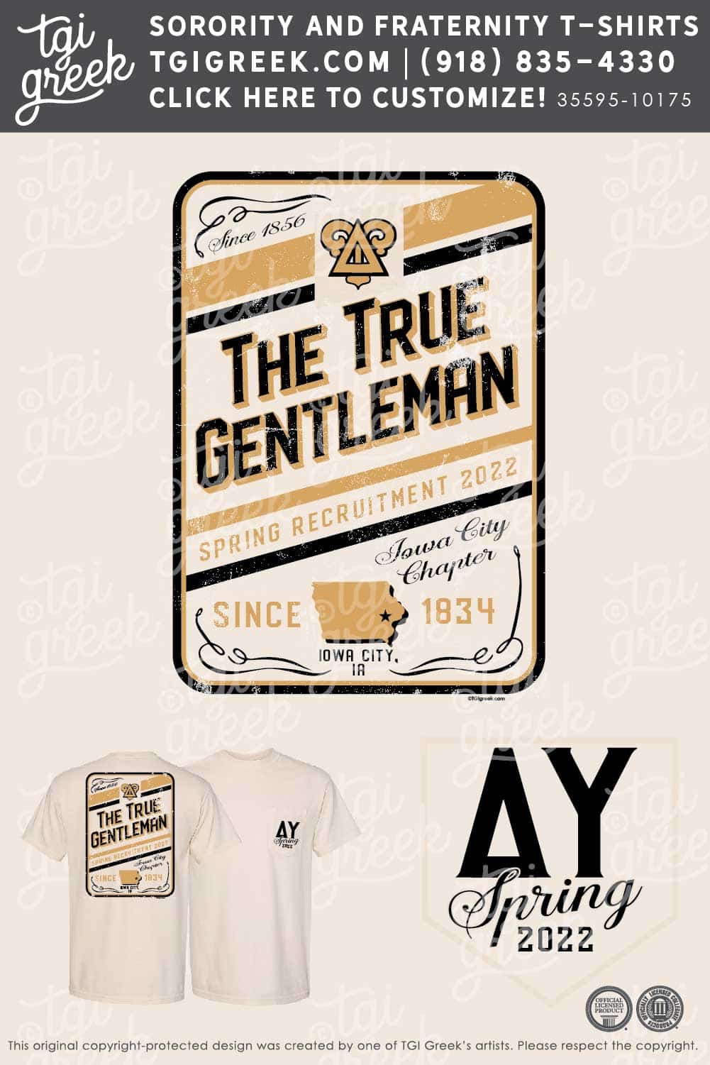 Delta Upsilon – UIA Spring Rush