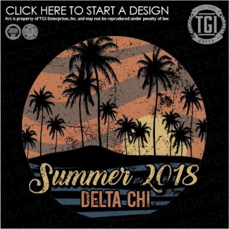 Delta Chi-USF Summer