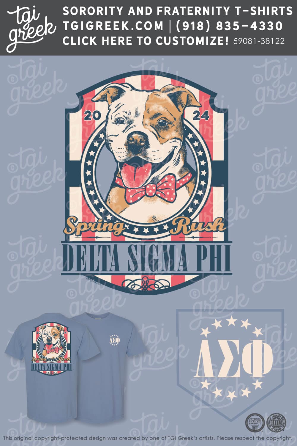 Delta Sigma Phi – UVA Spring Rush