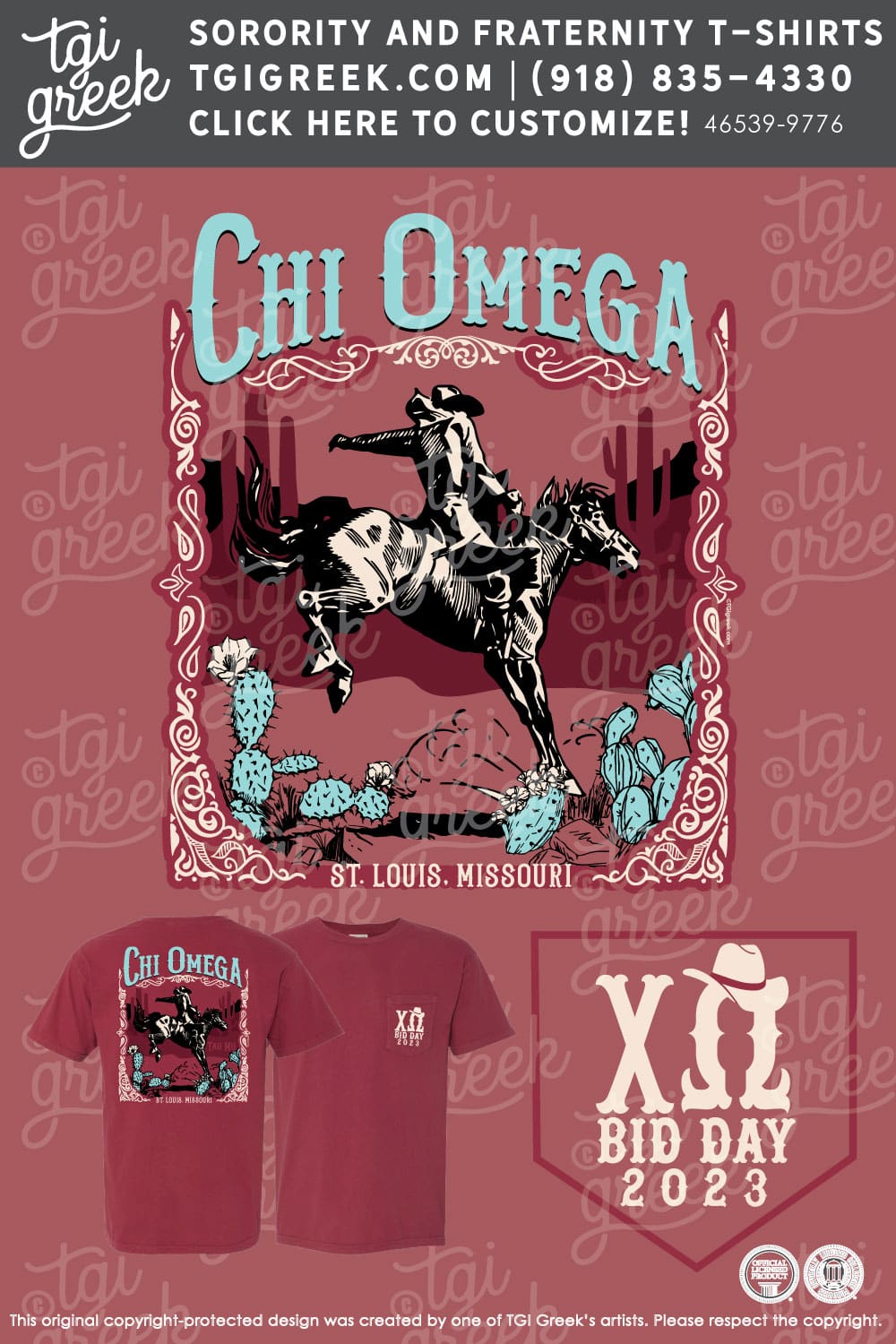 Chi Omega – WUSL Bid Day