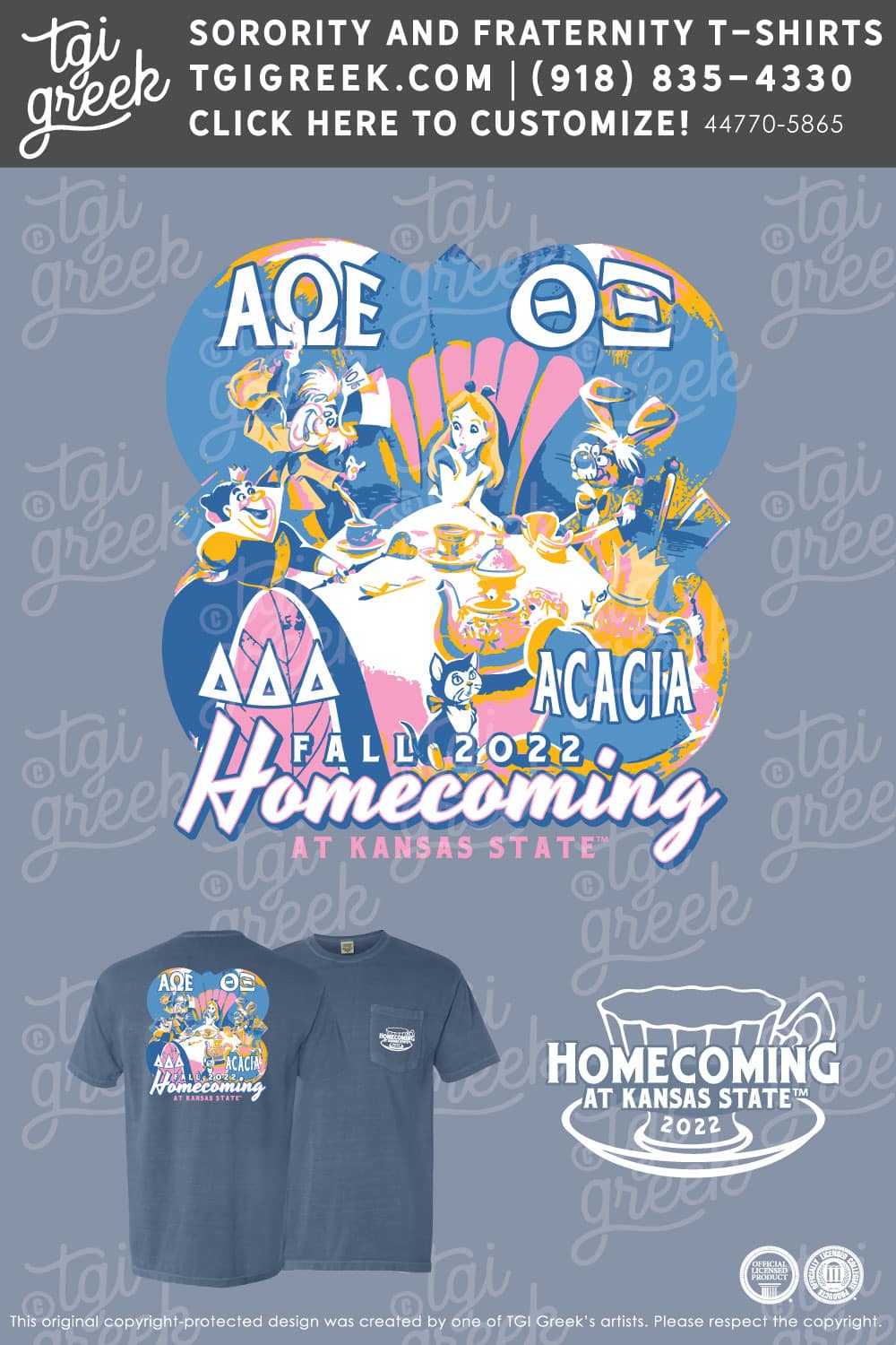 Alpha Omega Epsilon – KSU Homecoming