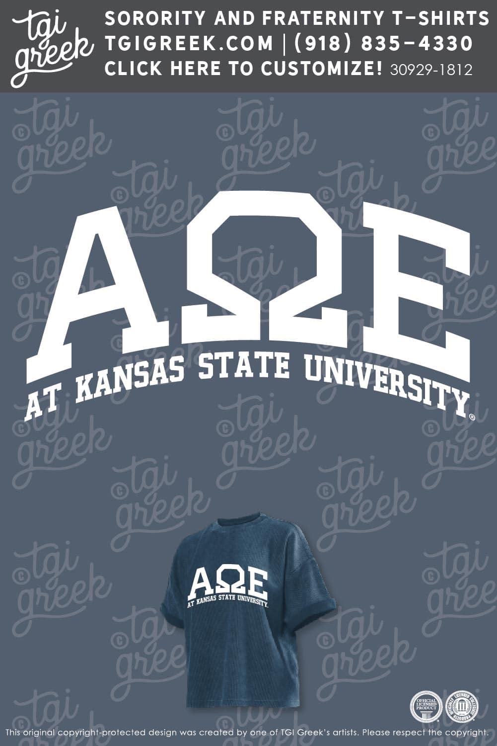 Alpha Omega Epsilon – Recruitment