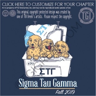 Sigma Tau Gamma – UW Fall Rush