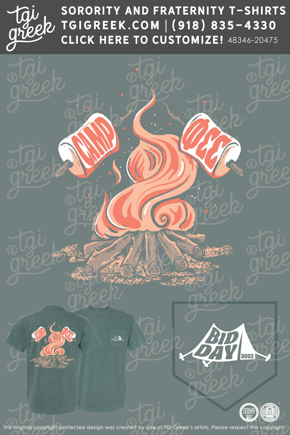 Phi Sigma Sigma – LIND Bid Day – Campfire