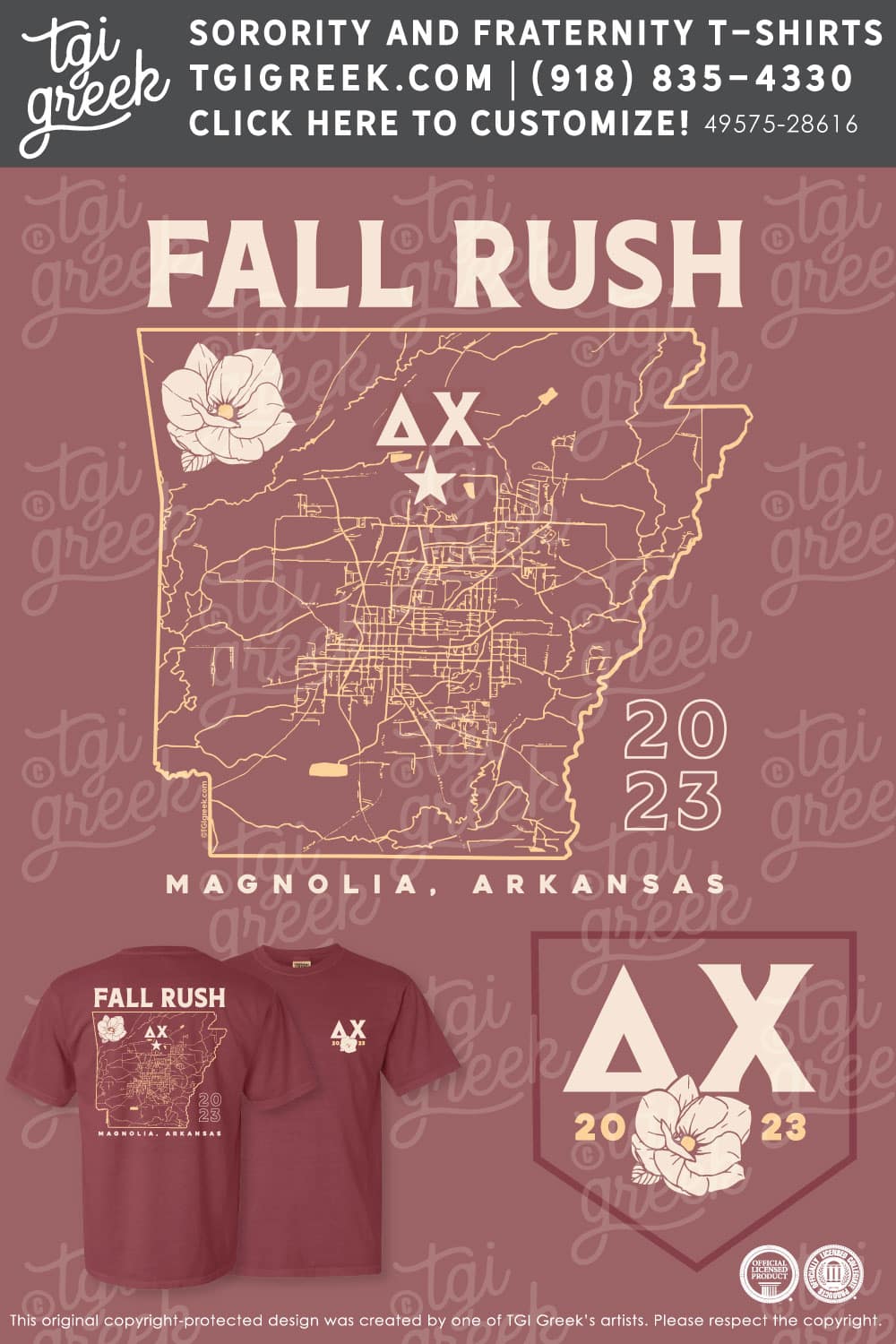 Delta Chi – SARU Fall Rush