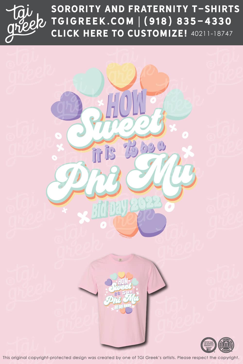 Phi Mu – NICHS Bid Day