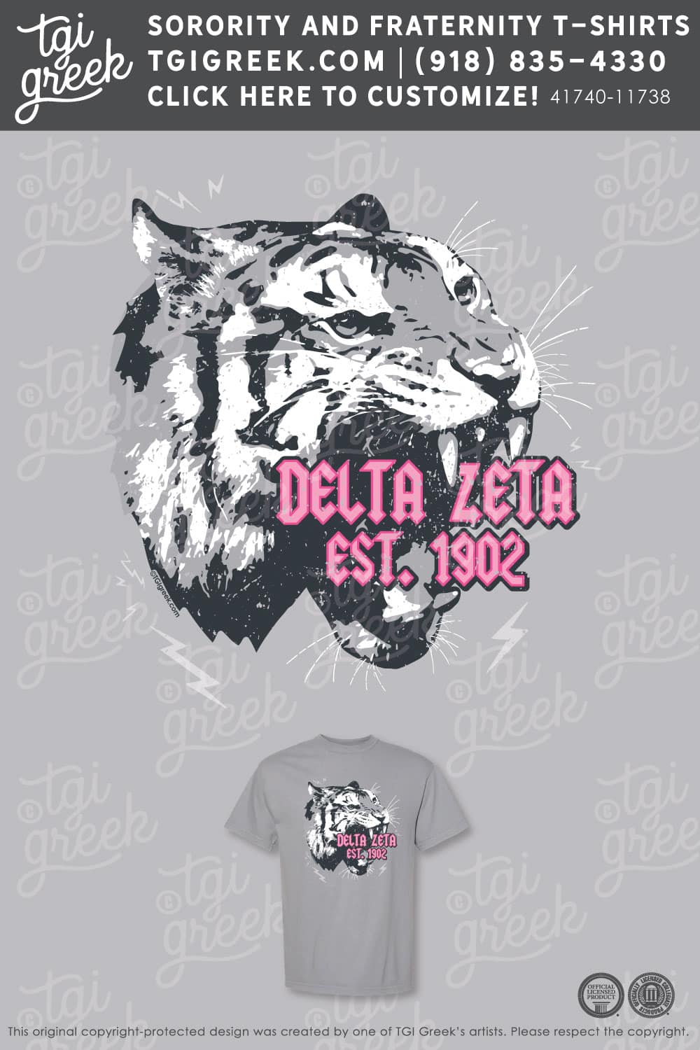 Delta Zeta – TSU Bid Day