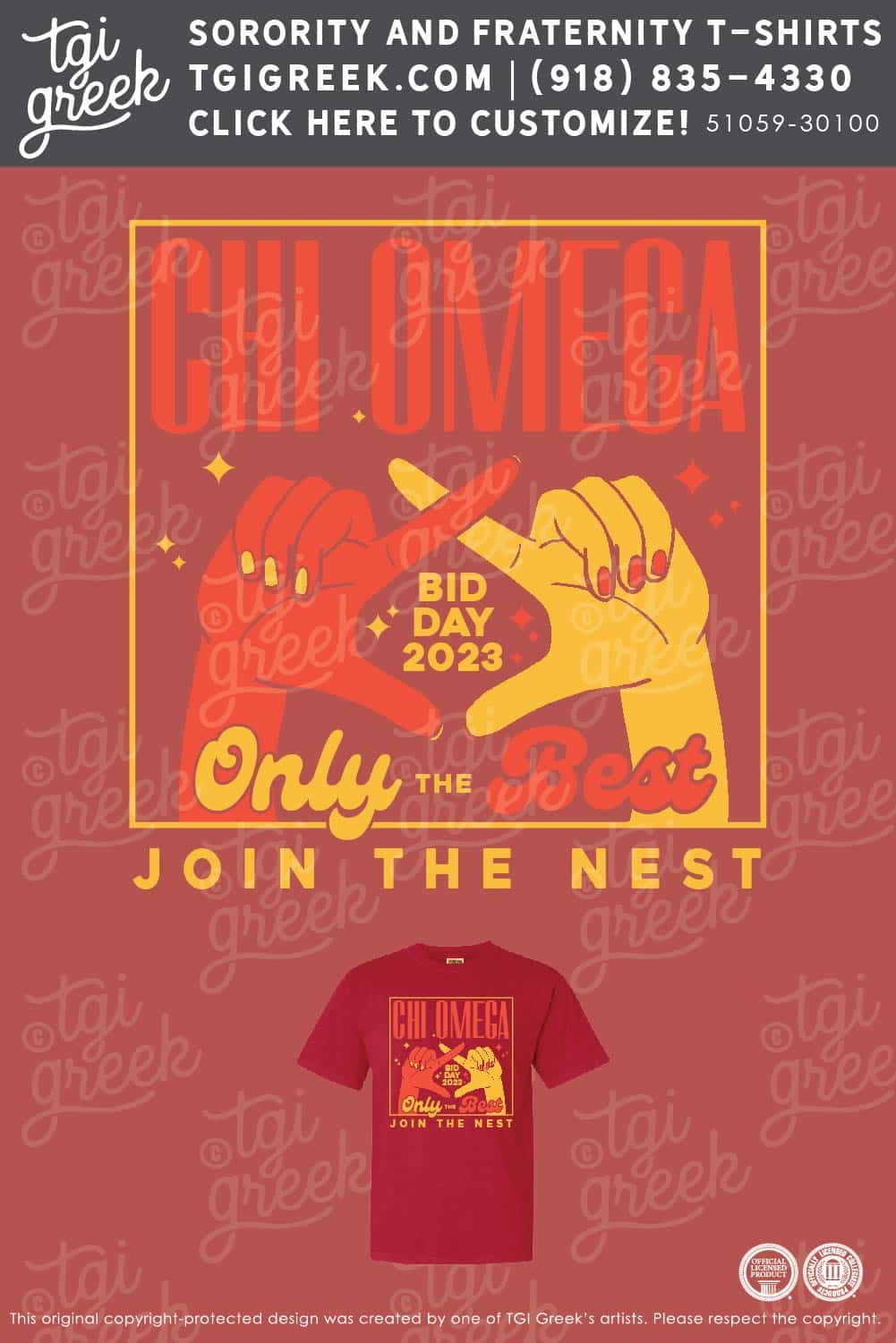 Chi Omega – UNCC Bid Day