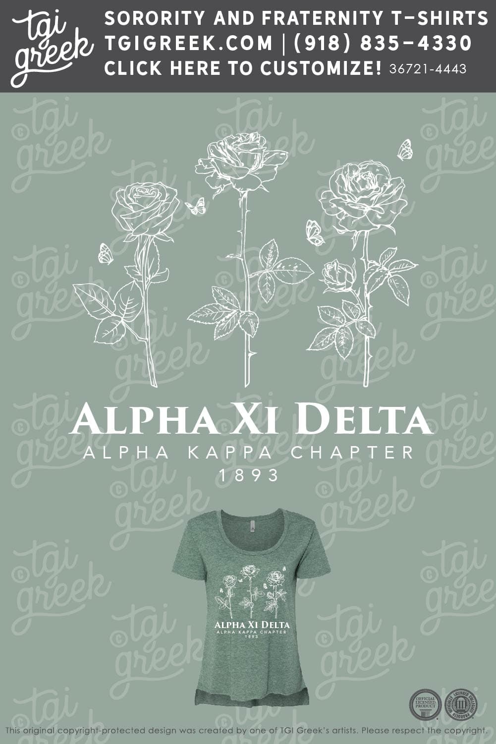 Alpha Xi Delta – KSU Recruitment