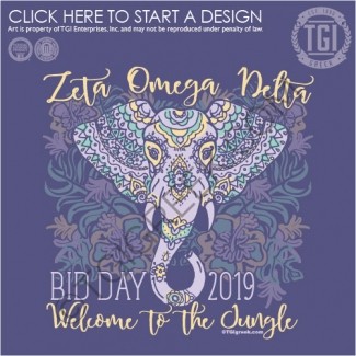 Zeta Omega Delta-UMW Spring Rush