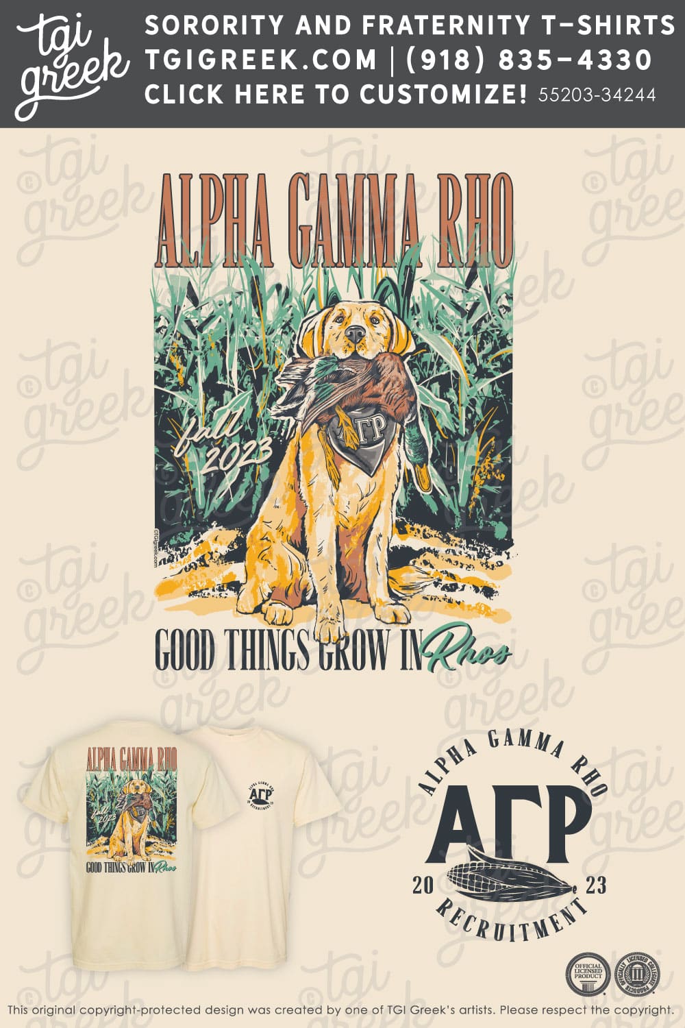 Alpha Gamma Rhi – DVU Recruitment