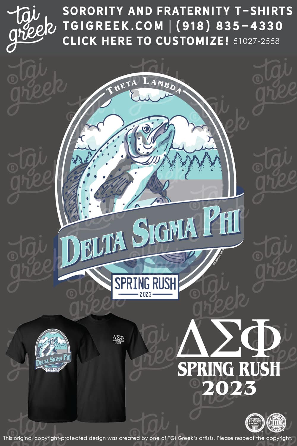 Delta Sigma Phi – DC Spring Rush