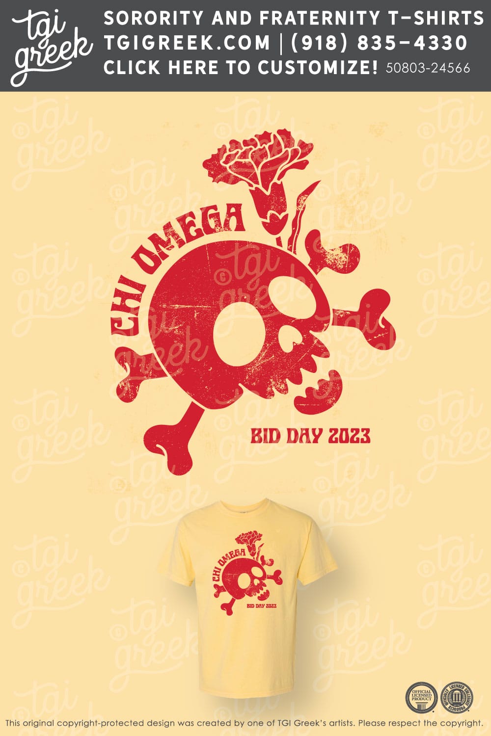 Chi Omega – UNCCH Bid Day