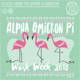 Alpha Omicron Pi-TCU Work Week