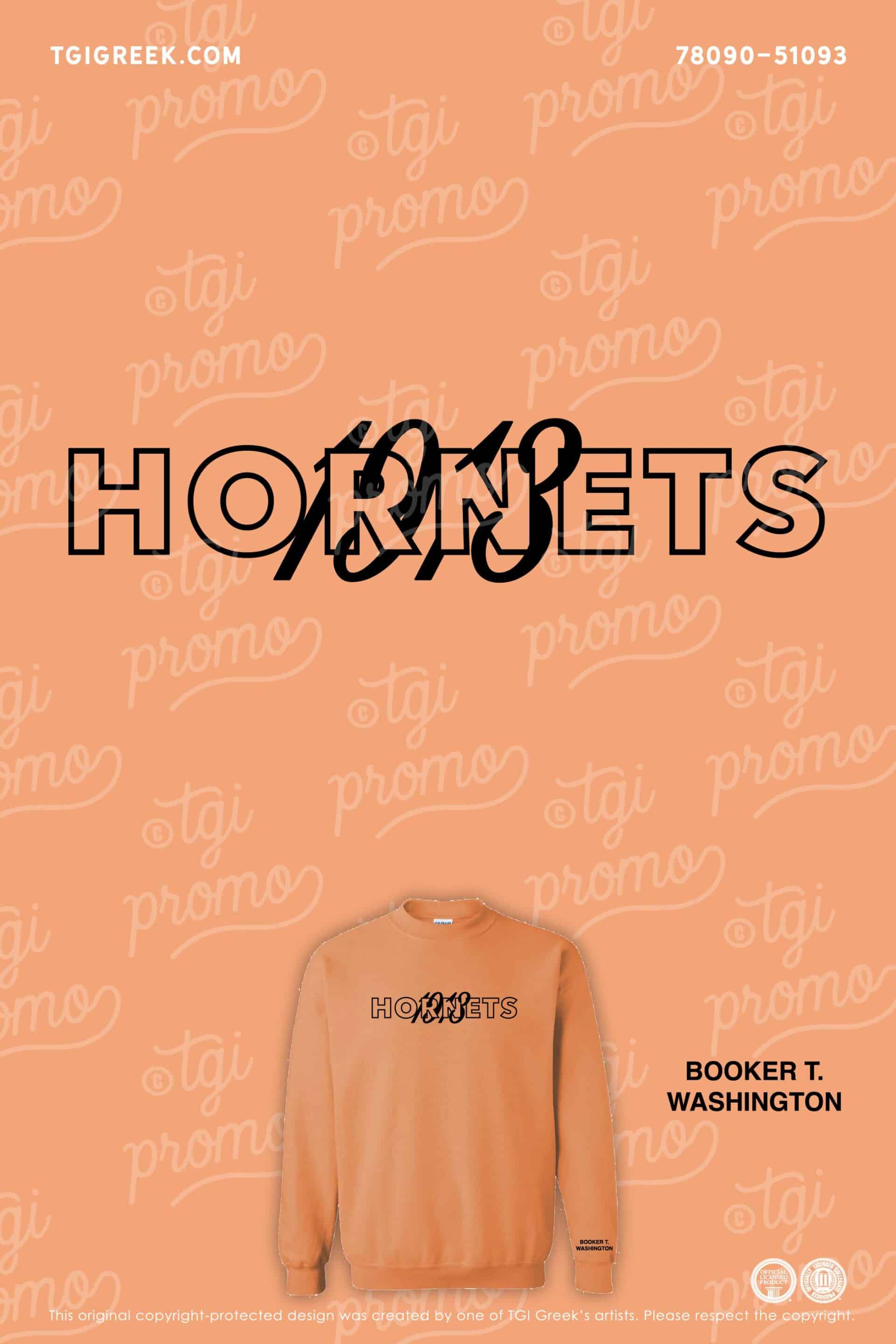 Booker T Washington – 1913 Hornets