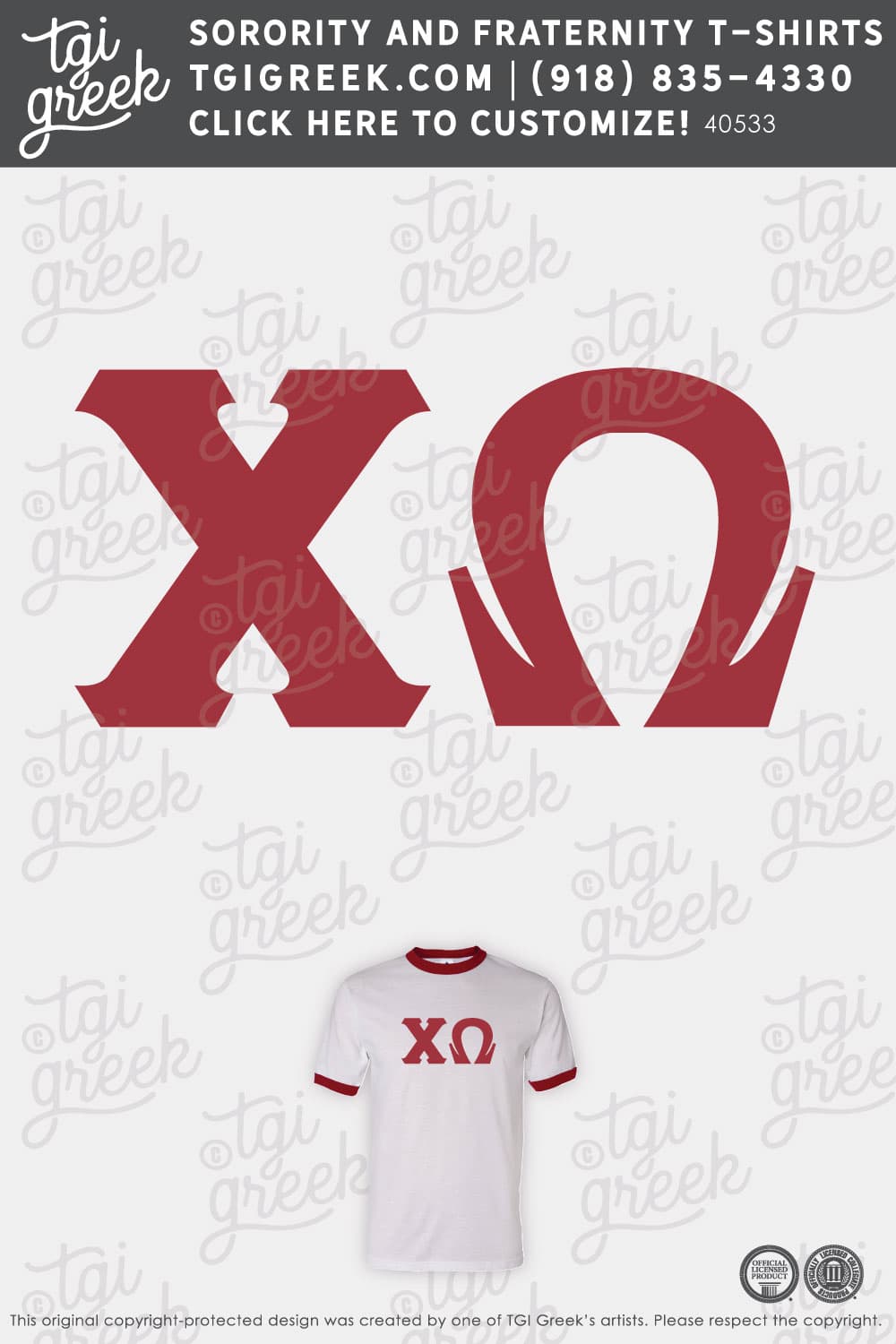 Chi Omega – MIZZ Bid Day