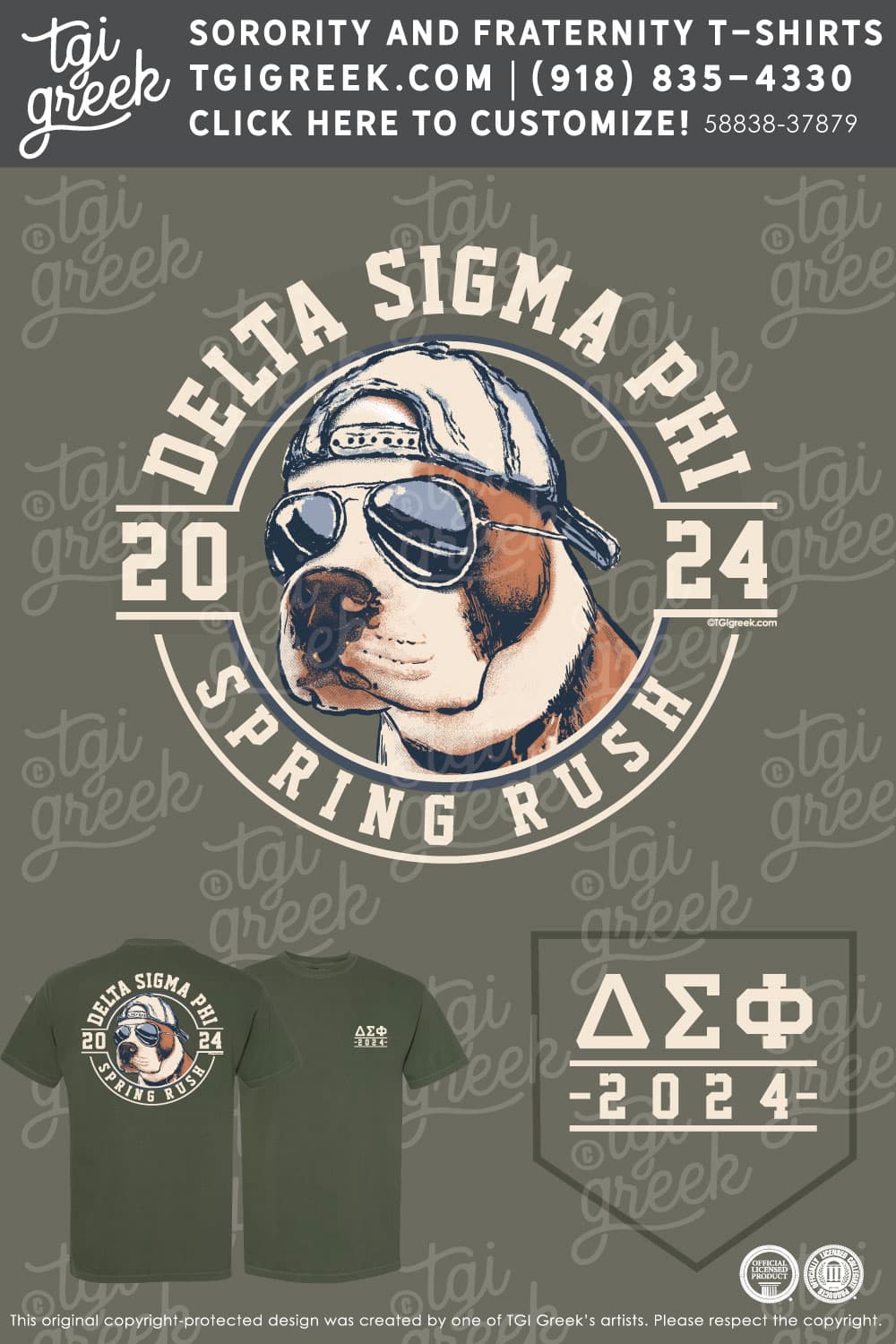 Delta Sigma Pi – UVA Spring Rush