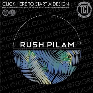 Pi Lambda Phi-AU Rush